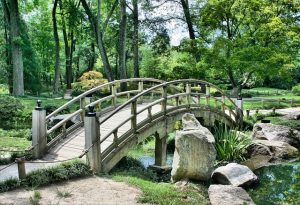 Jardinería y Restauración del Paisaje