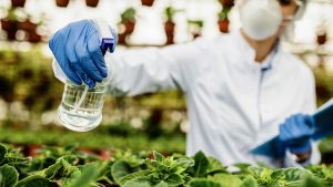 Buenas prácticas y prevención de riesgos relacionados con el control fitosanitario en la horticultura y floricultura