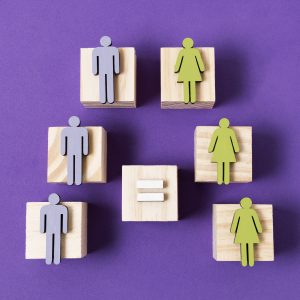 PLAN DE IGUALDAD. DESARROLLO, IMPLANTACIÓN, SEGUIMIENTO Y EVALUACIÓN