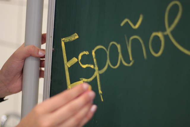 Curso Intensivo Español para Extranjeros A1-A2. Nivel Oficial Consejo Europeo impartido por Formación Evolution