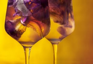 Enología: vinos, aguardientes y licores