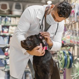 Especialista en Farmacia Veterinaria