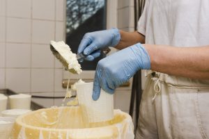 Manipulador de Alimentos. Sector Lácteo