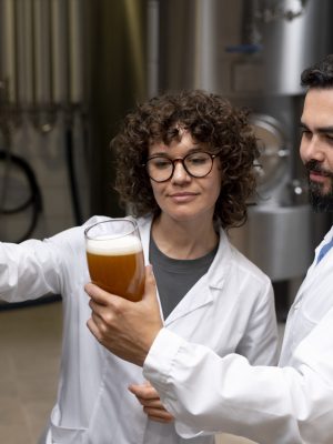 Manipulador de Alimentos. Industrias Transformadoras