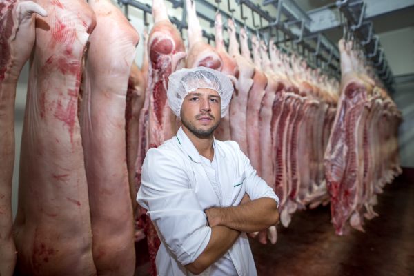 Manipulador de Alimentos. Sector Cárnico