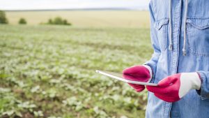 Aplicación de métodos de control fitosanitarios en plantas, suelo e instalaciones