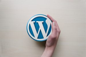 ¿Qué es Drupal y WordPress?