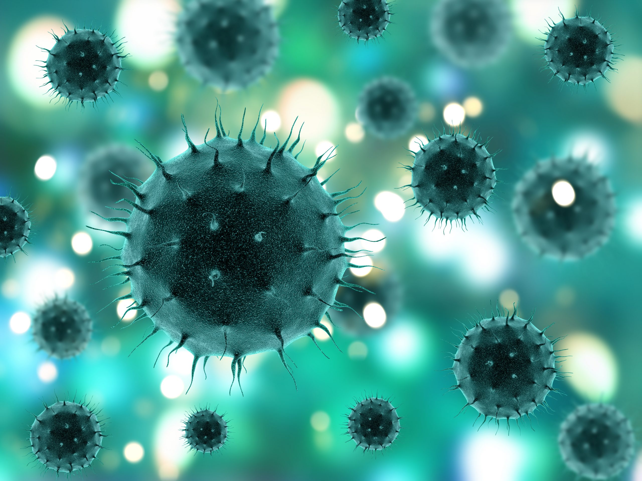 LEGIONELLA: FOCOS DE CONTAMINACION